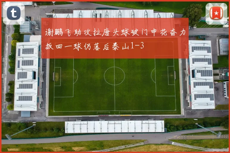 谢鹏飞助攻拉唐头球破门申花奋力扳回一球仍落后泰山1-3